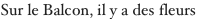 shapeimage_8_link_0